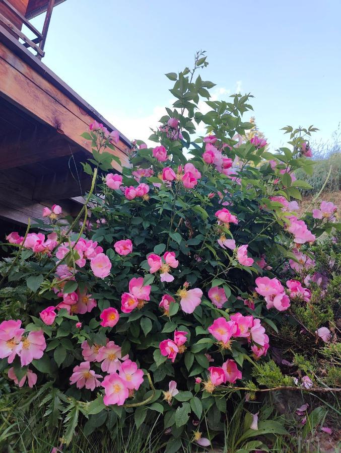 Chalet Ailleurs Appartement A Molines En Queyras 외부 사진